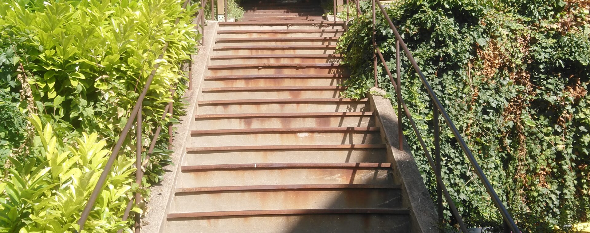 step by step, pas à pas, avancer en conscience